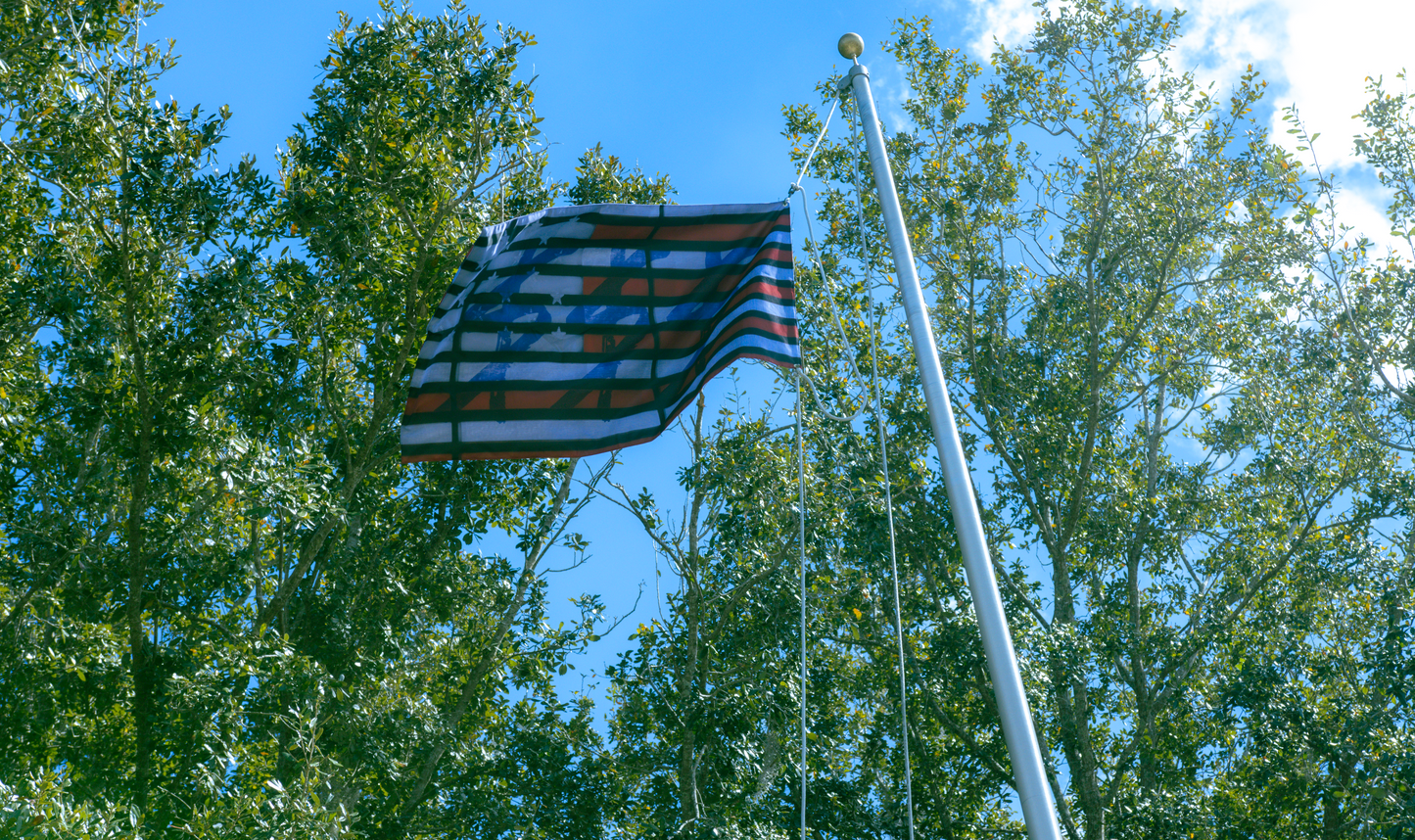 AMERICA$$$H Flag