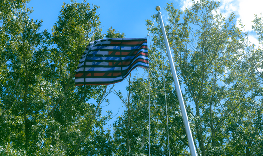 AMERICA$$$H Flag