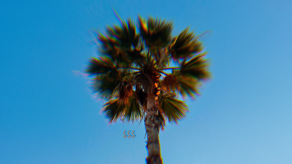 TROPICA$$$H