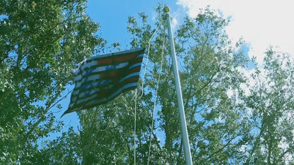AMERICA$$$H Flag